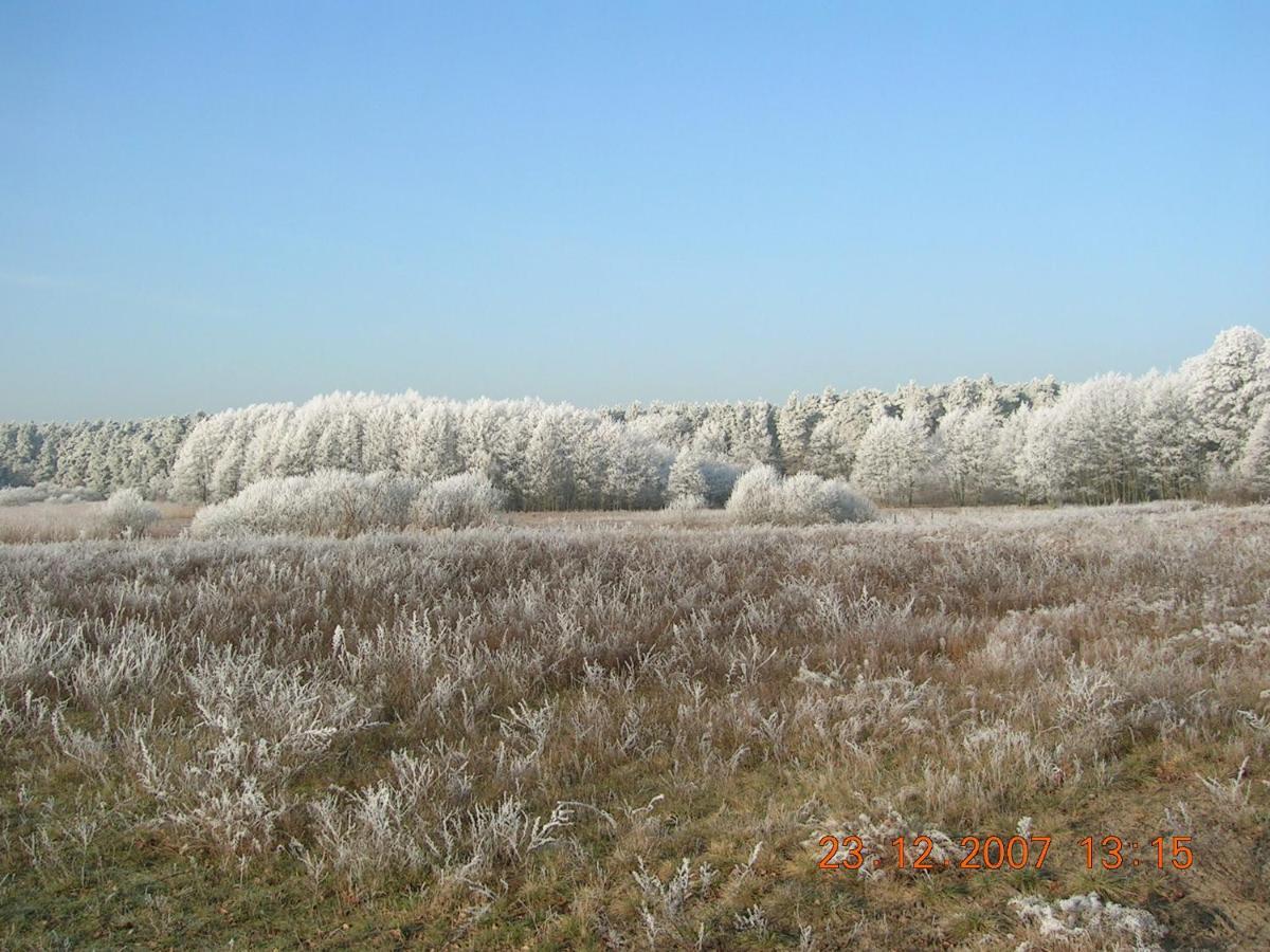 Kranichnest Βίλα Rheinsberg Εξωτερικό φωτογραφία